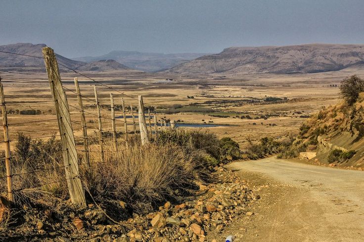 Karoo